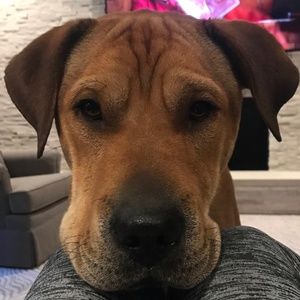 Meet your Posher, Sally